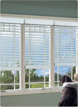 Faux Blinds